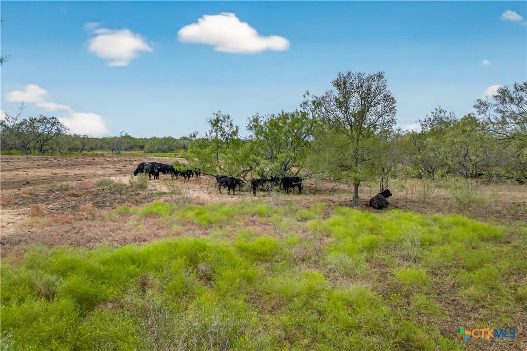 11 acres in Gonzales County - photo 5