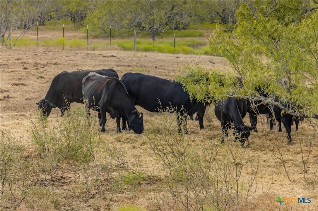 11 acres in Gonzales County - photo 7
