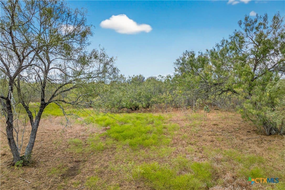 11 acres in Gonzales County - photo 8