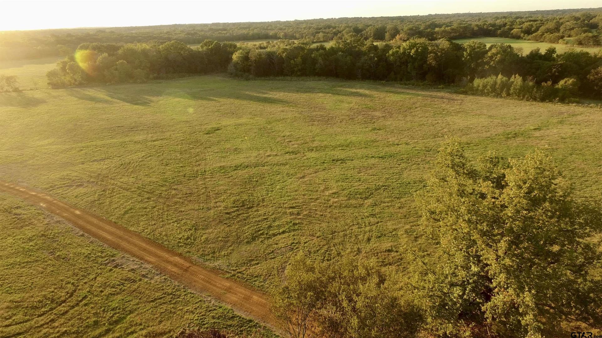10.1 acres in Titus County - photo 9