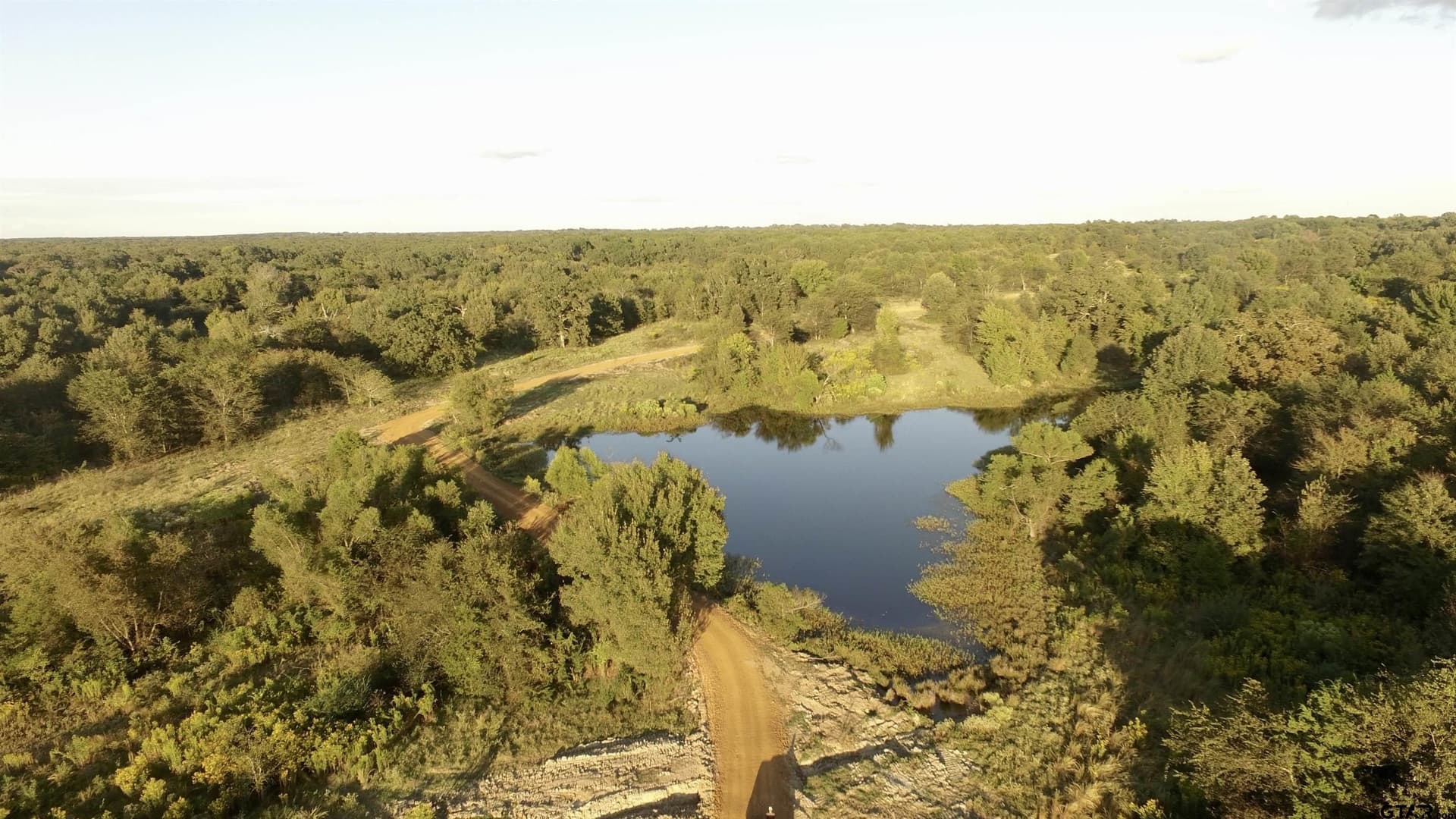 10.1 acres in Titus County - photo 5