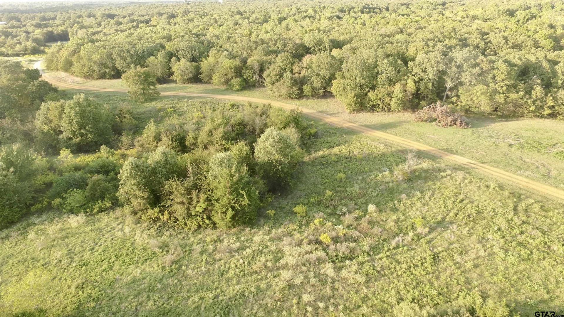 10.1 acres in Titus County - photo 7