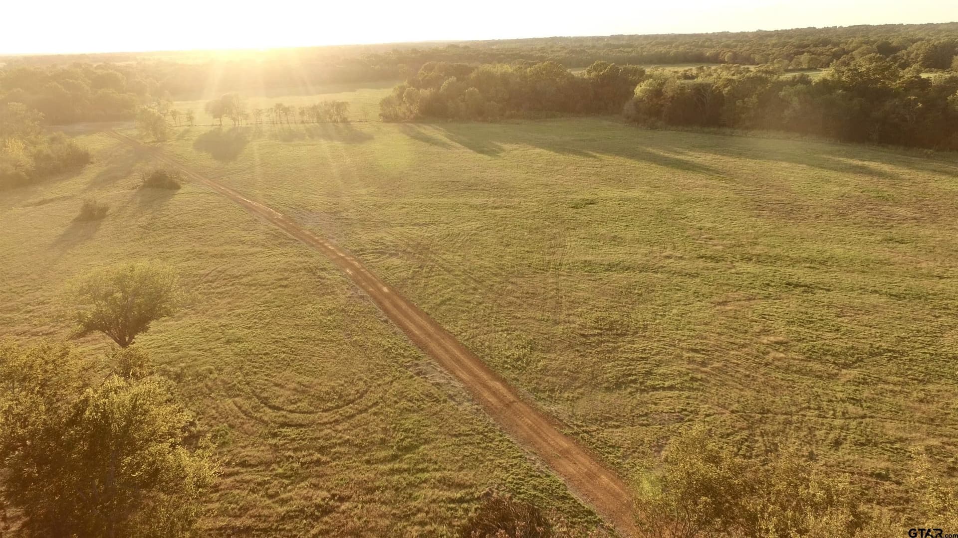 10.1 acres in Titus County - photo 10