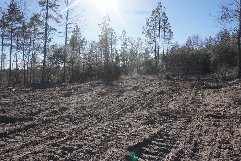 16.92 acres in LEON County - photo 3