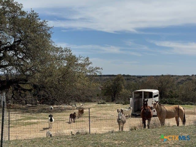 16.37 acres in Lampasas County - photo 19