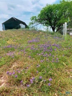 16.37 acres in Lampasas County - photo 30