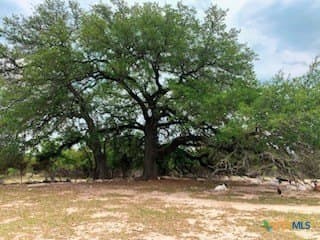 16.37 acres in Lampasas County - photo 24