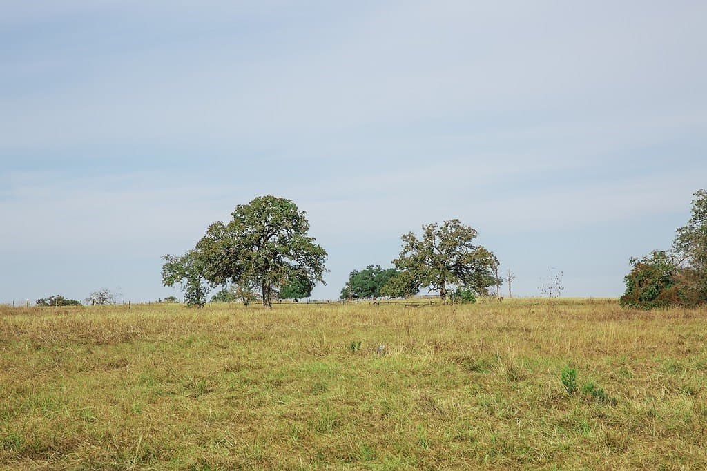 55.68 acres in Fayette County - photo 10