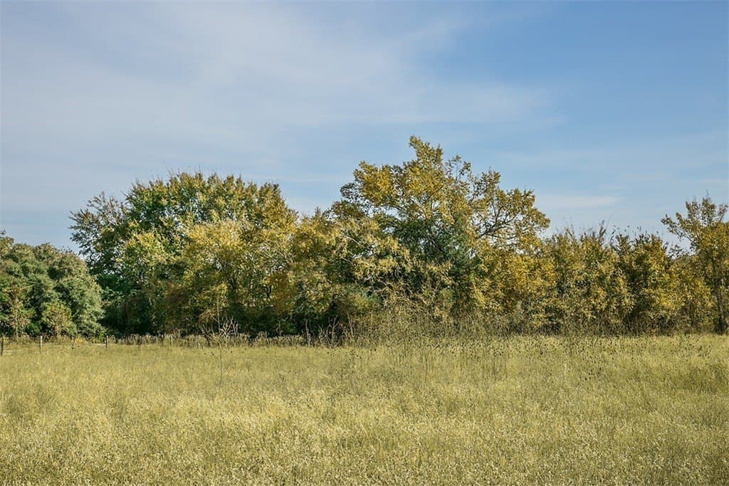 55.68 acres in Fayette County - photo 4