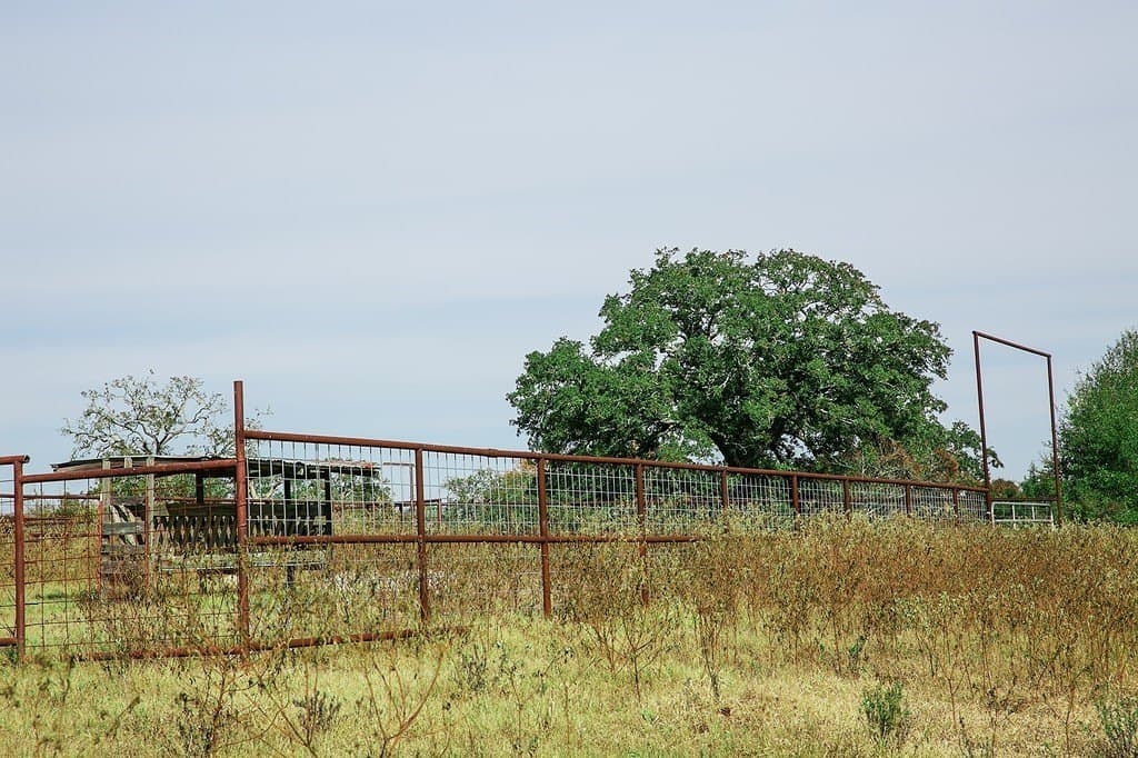 55.68 acres in Fayette County - photo 6