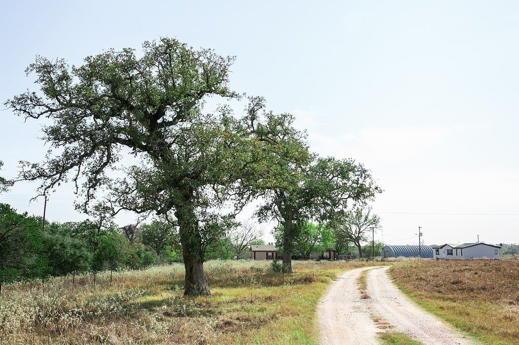 55.68 acres in Fayette County - photo 2