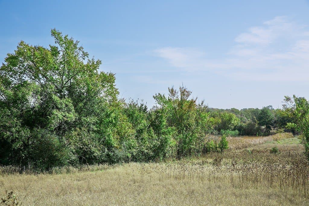 55.68 acres in Fayette County - photo 8