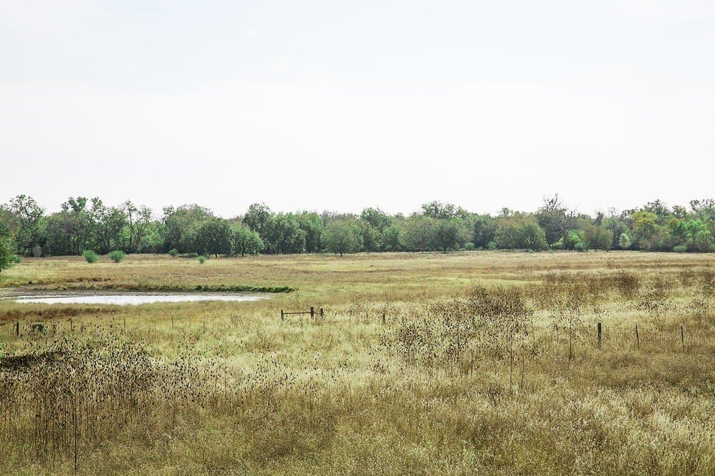55.68 acres in Fayette County - photo 9