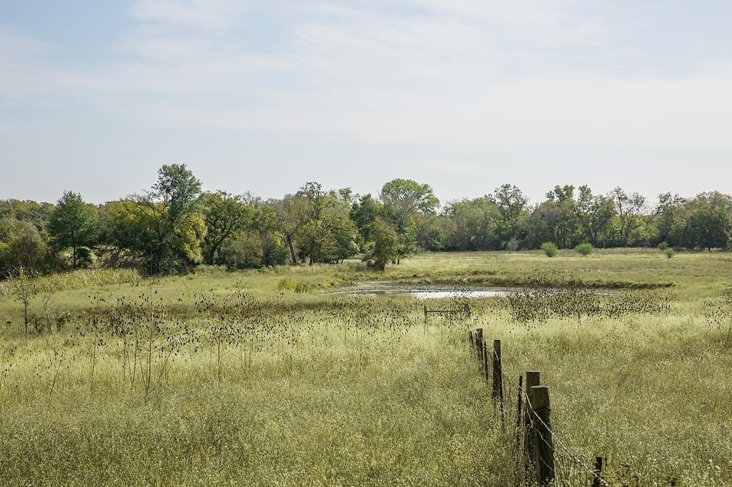 55.68 acres in Fayette County - photo 5