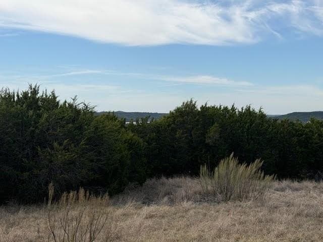 5 acres in Palo Pinto County - photo 8