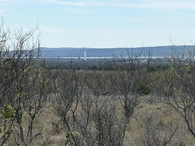 5 acres in Palo Pinto County - photo 4