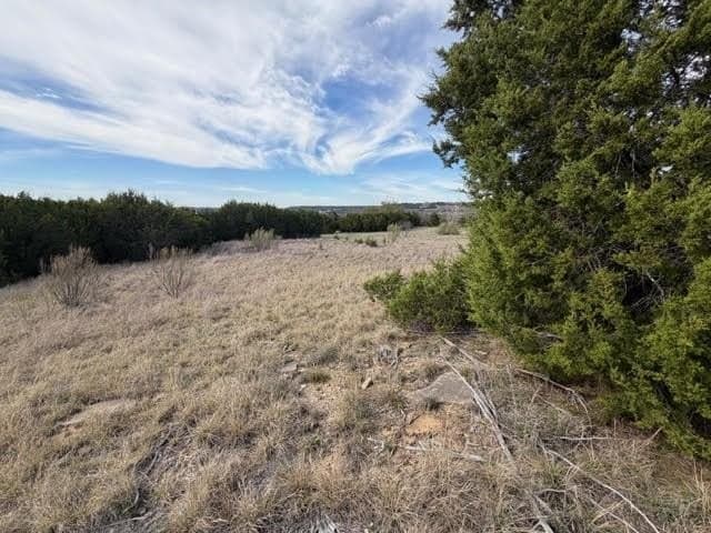 5 acres in Palo Pinto County - photo 7