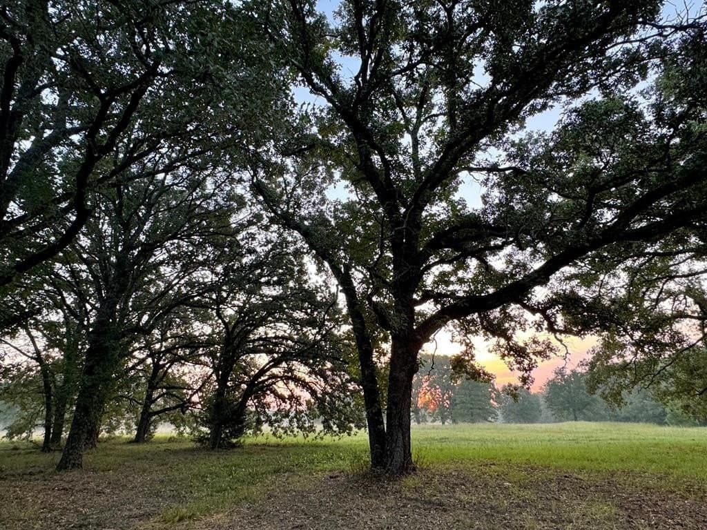 22.48 acres in Van Zandt County - photo 40