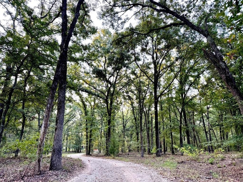 22.48 acres in Van Zandt County - photo 41