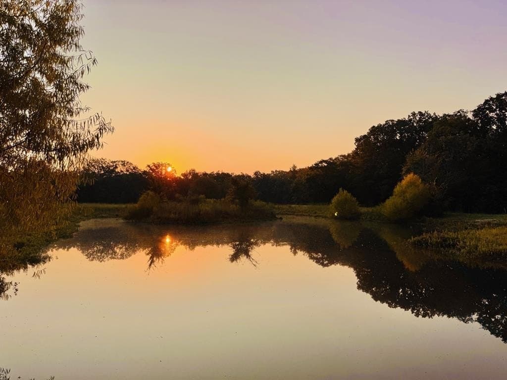 22.48 acres in Van Zandt County - photo 42