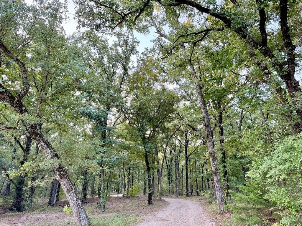 22.48 acres in Van Zandt County - photo 7