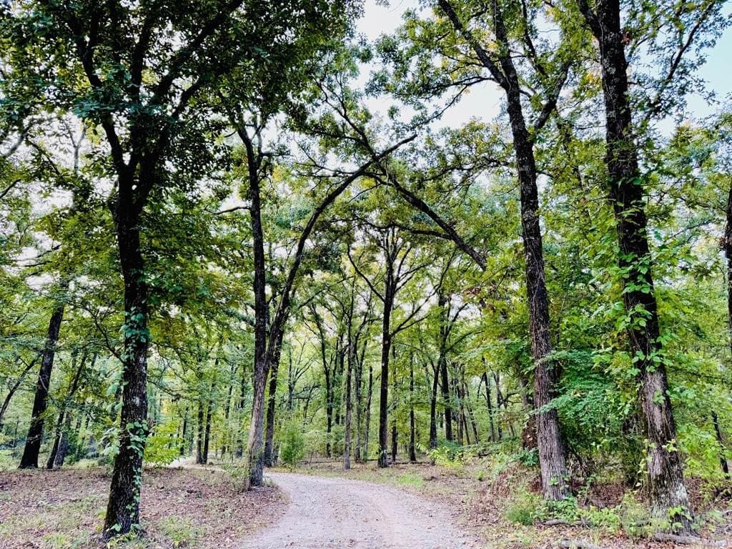 22.48 acres in Van Zandt County - photo 6