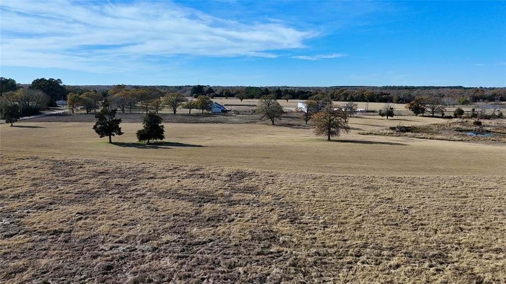 41.18 acres in Henderson County - photo 11