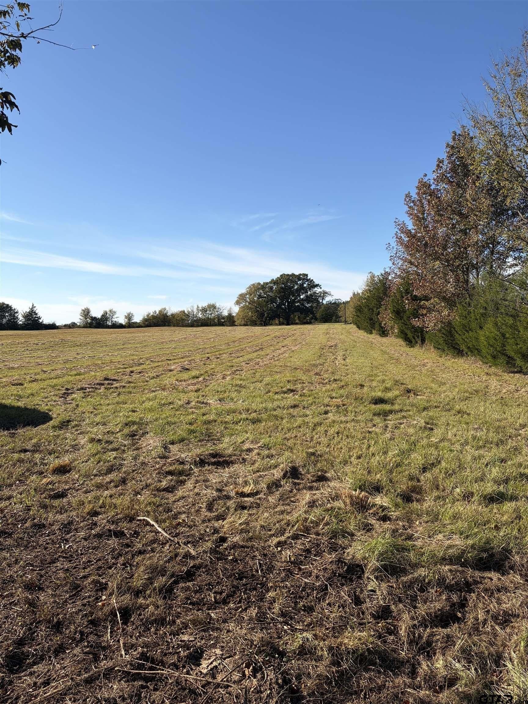 20 acres in Bowie County - photo 9