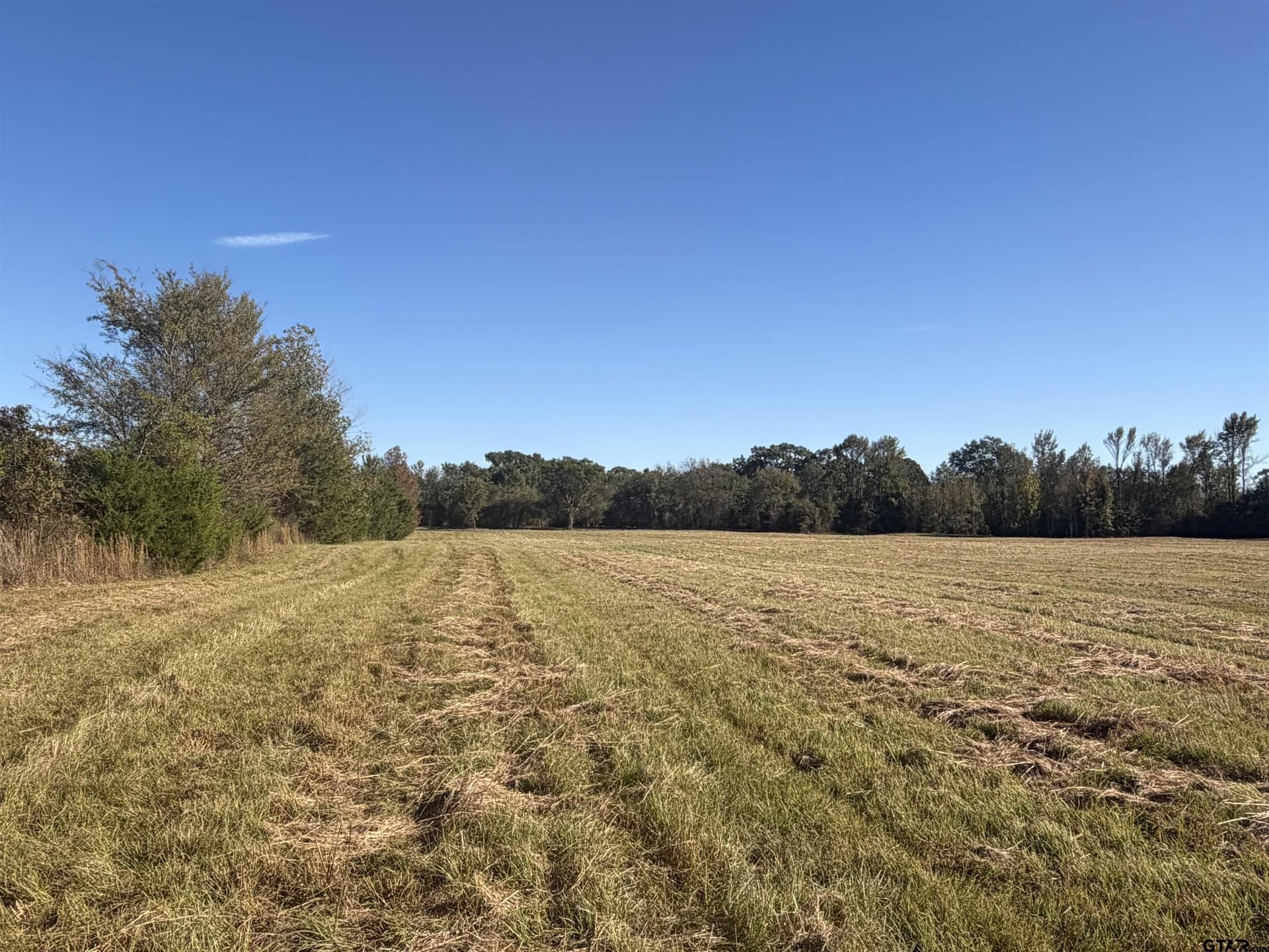 20 acres in Bowie County - photo 3