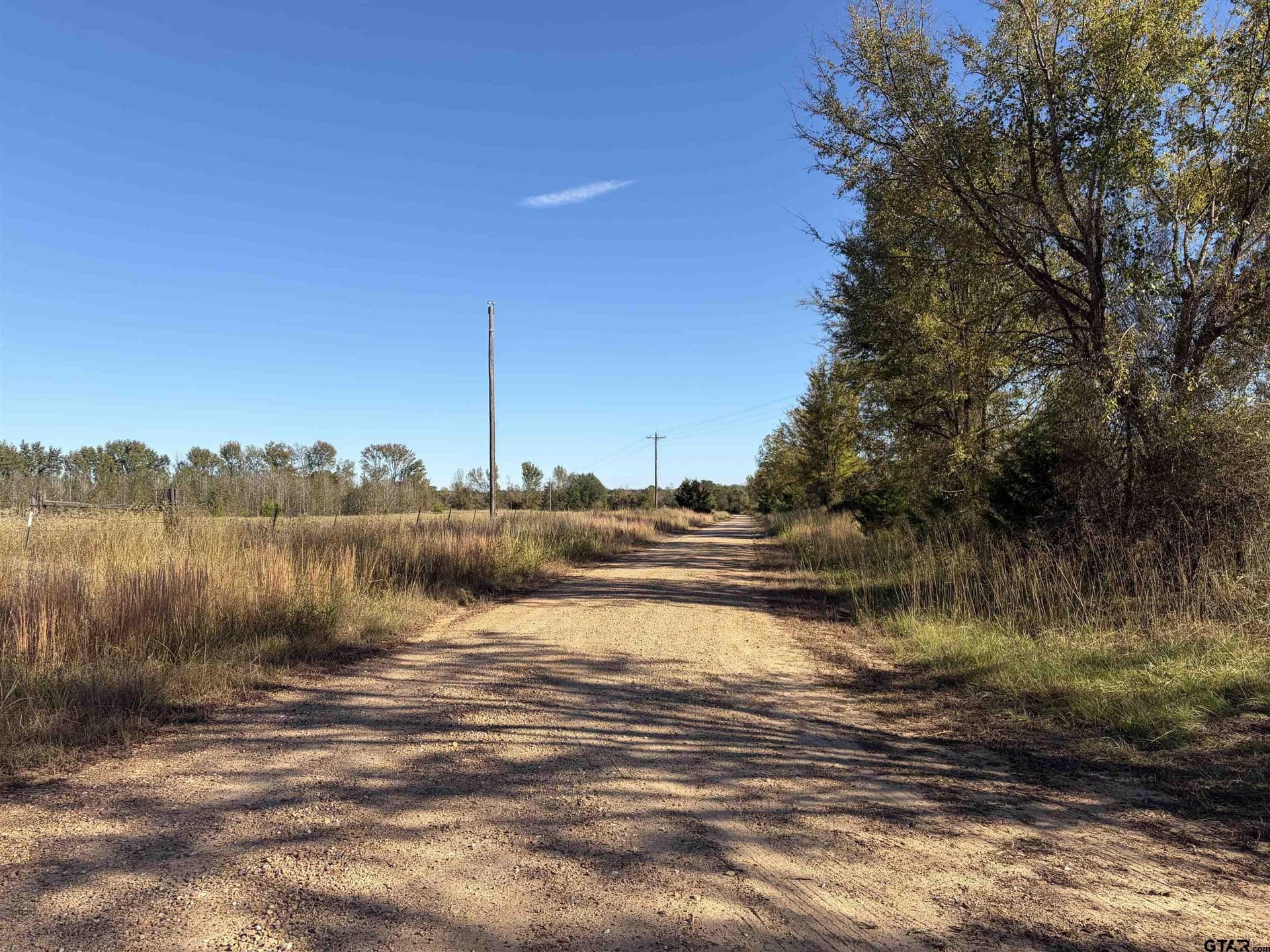 20 acres in Bowie County - photo 12