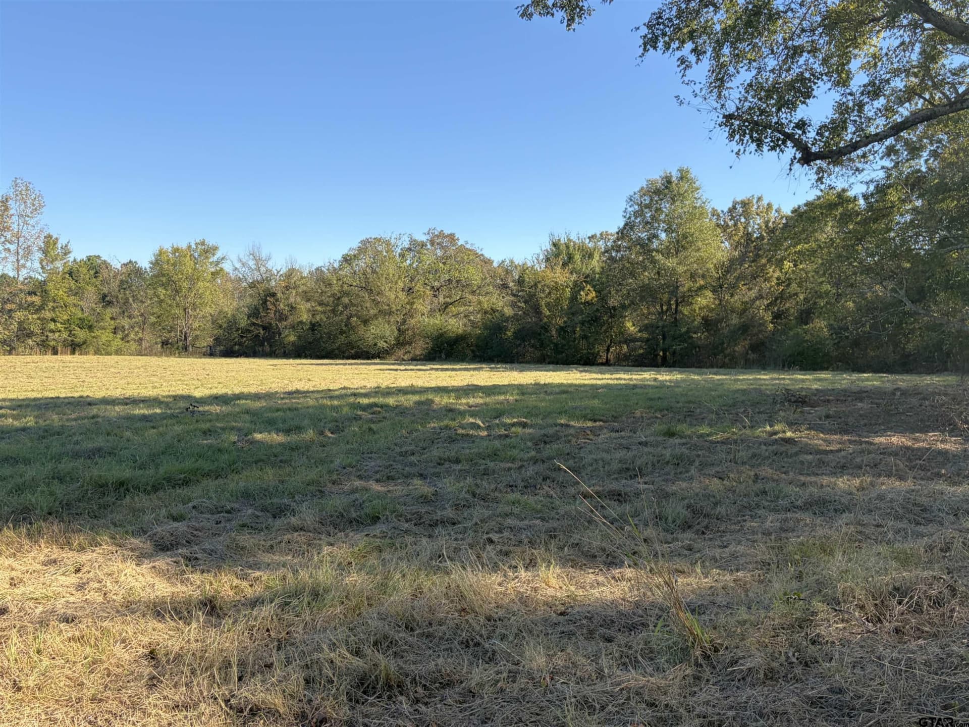 20 acres in Bowie County - photo 5