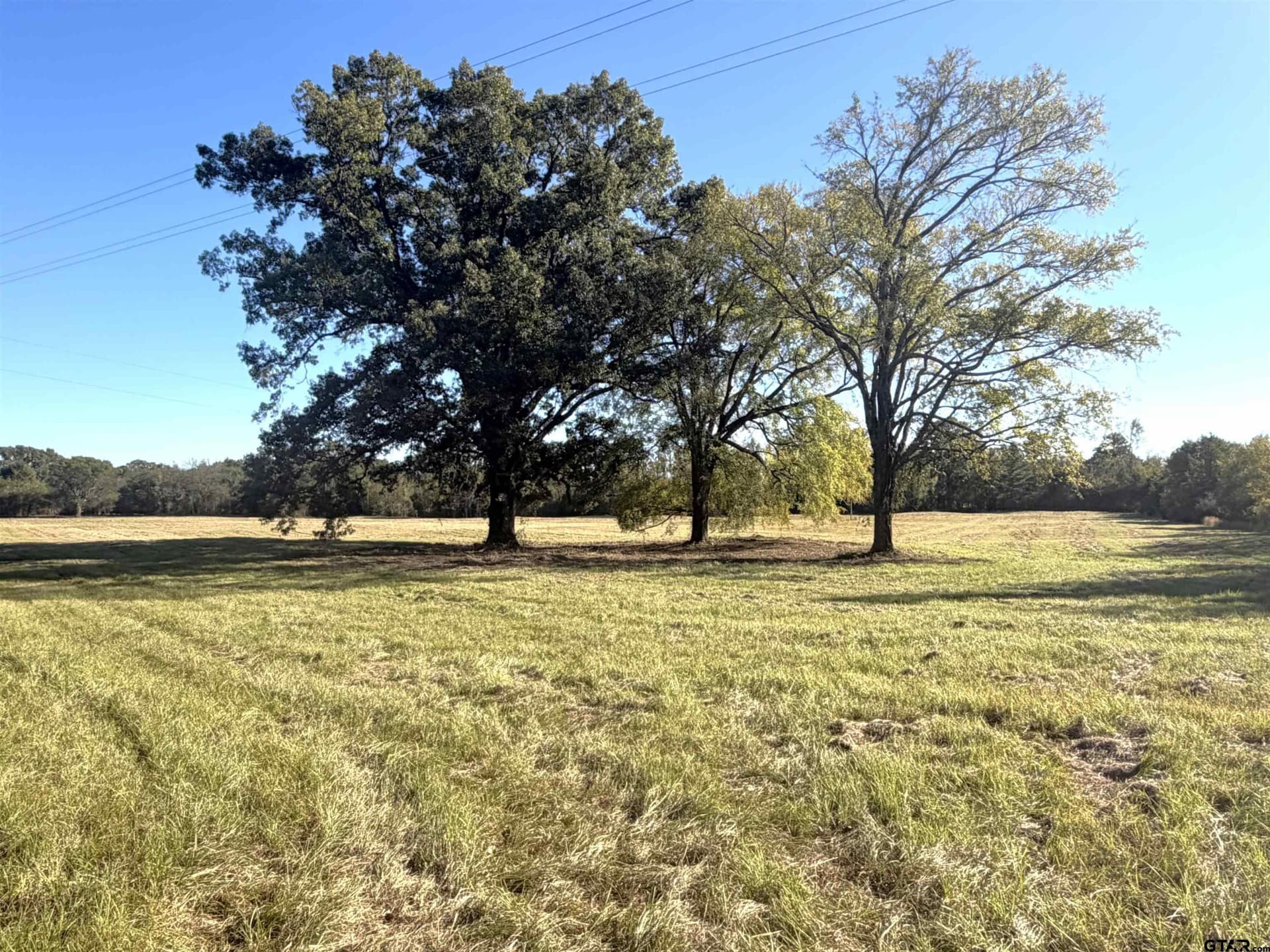 20 acres in Bowie County - photo 2