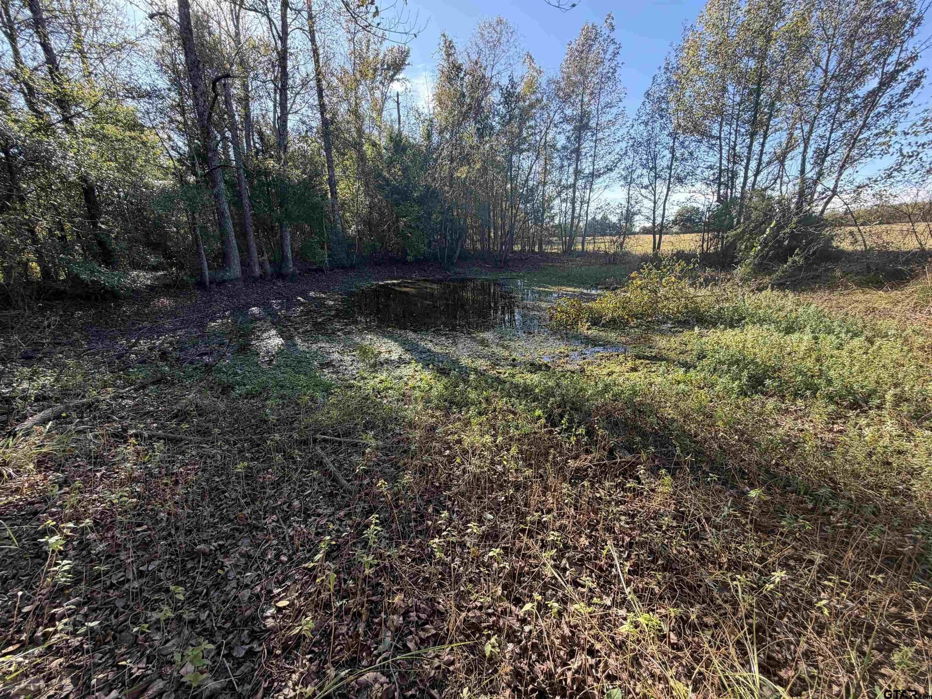20 acres in Bowie County - photo 4