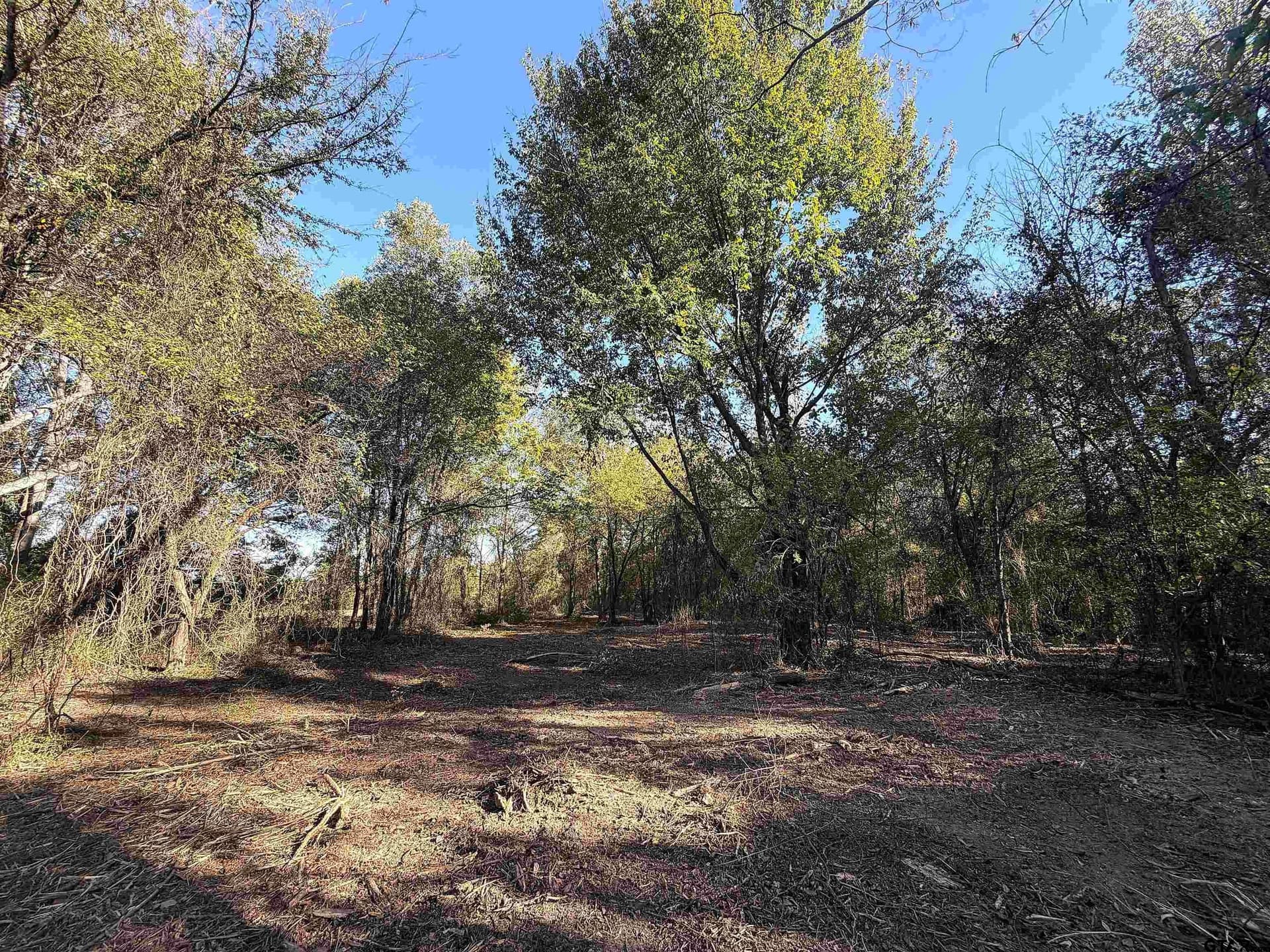 20 acres in Bowie County - photo 7