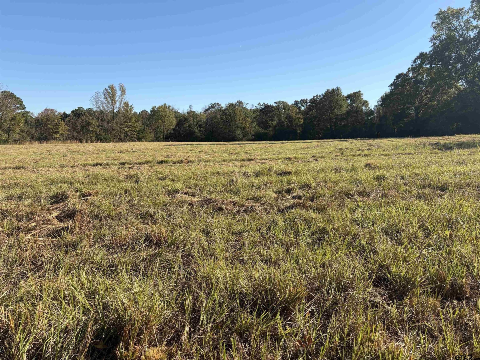 20 acres in Bowie County - photo 8