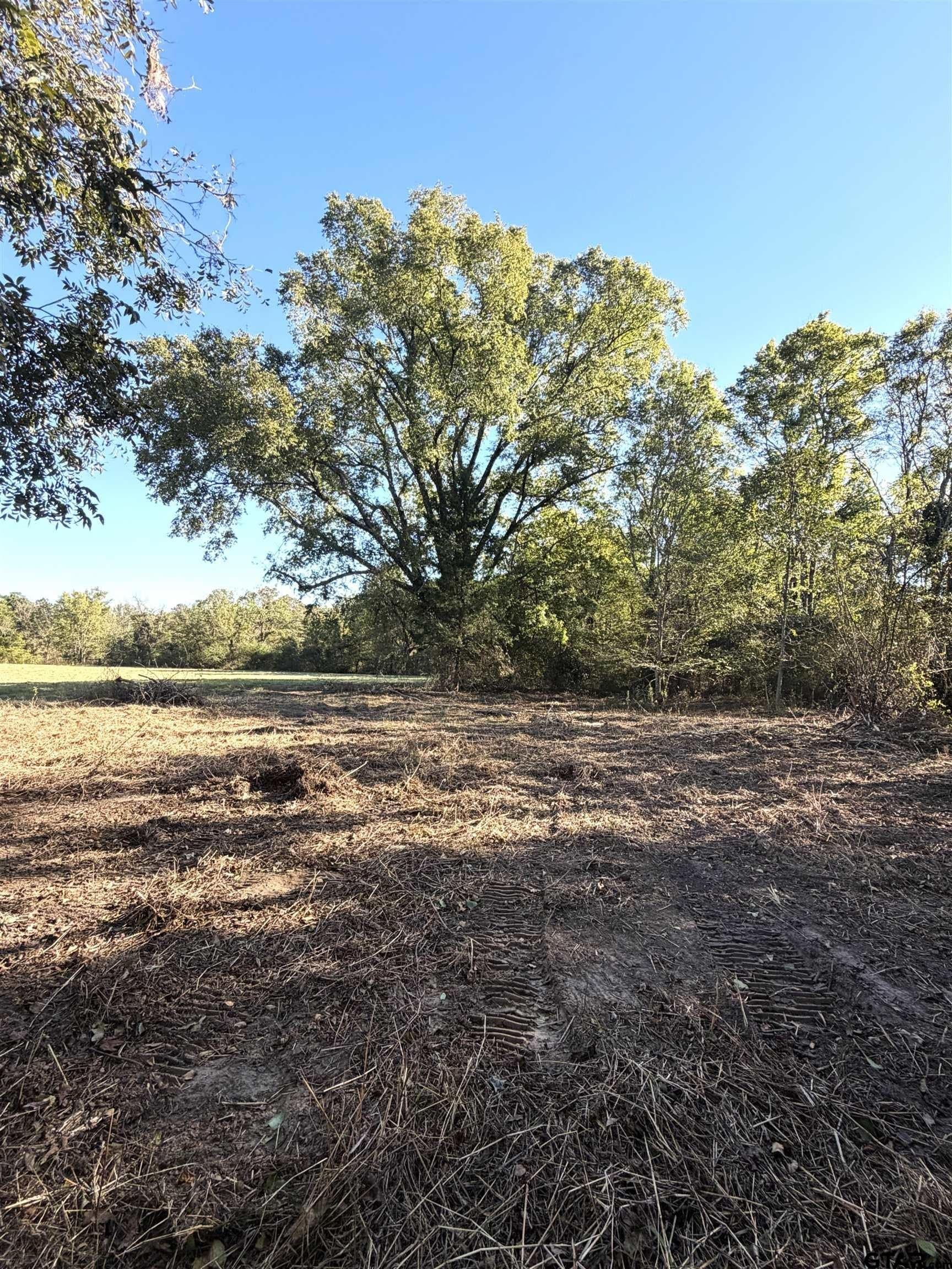 20 acres in Bowie County - photo 6