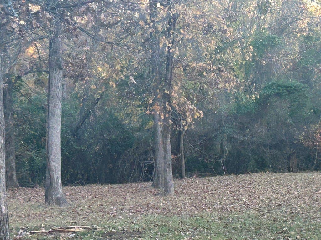 1.18 acres in Henderson County - photo 2
