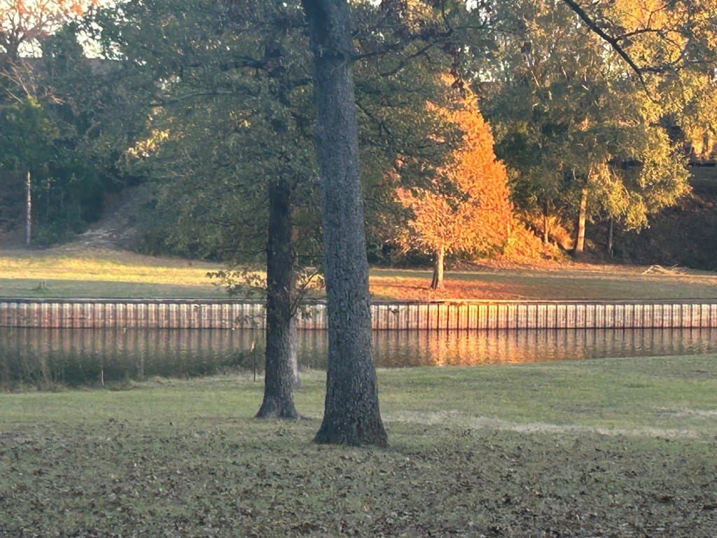 1.18 acres in Henderson County - photo 3