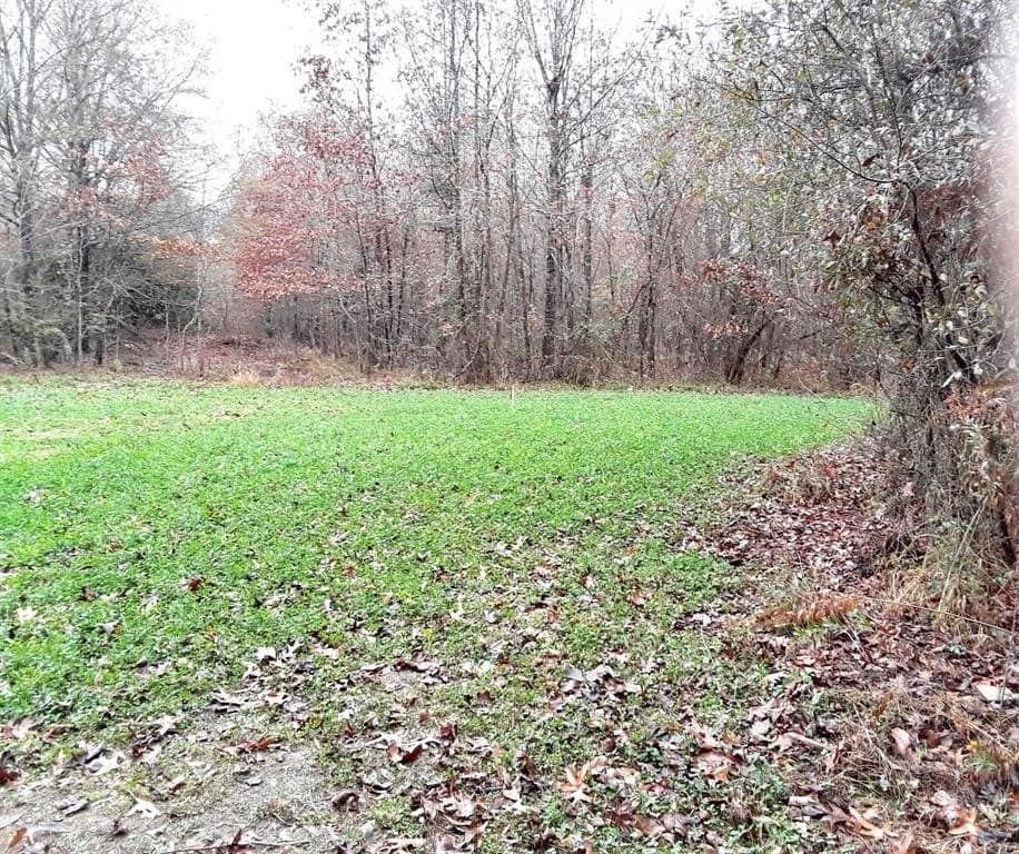 125.96 acres in Red River (TX) County - photo 6