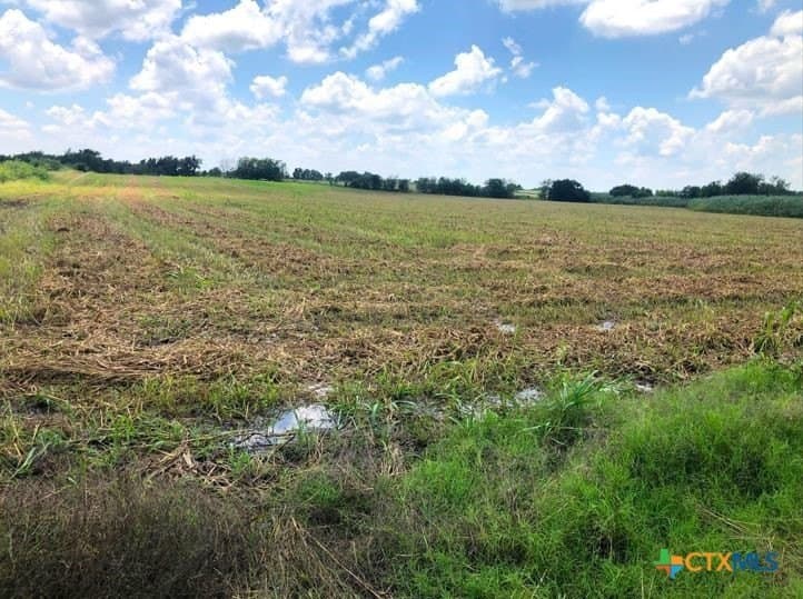 79.95 acres in Williamson County - photo 7
