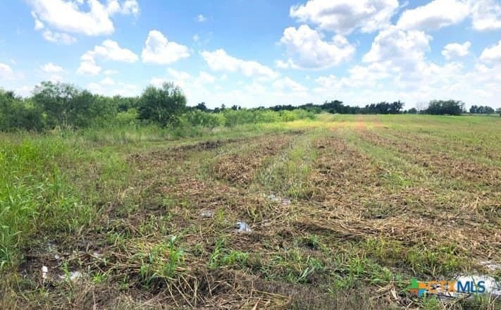 79.95 acres in Williamson County - photo 8
