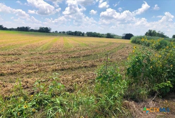 79.95 acres in Williamson County - photo 3