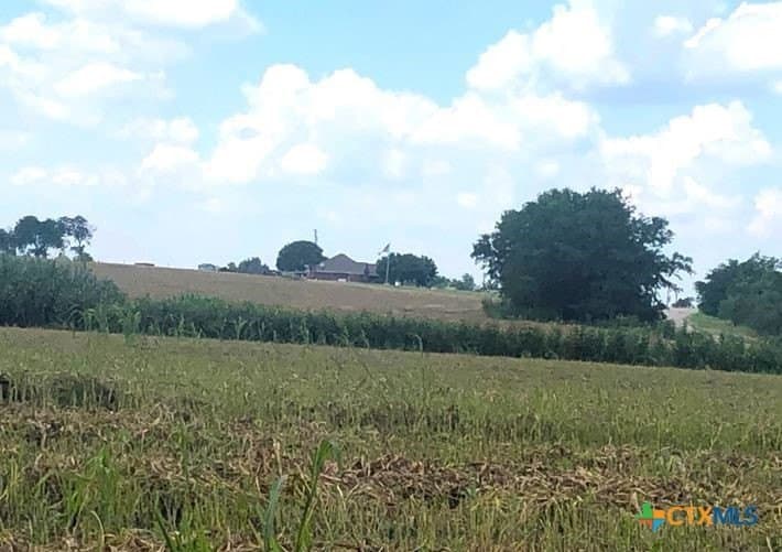 79.95 acres in Williamson County - photo 15