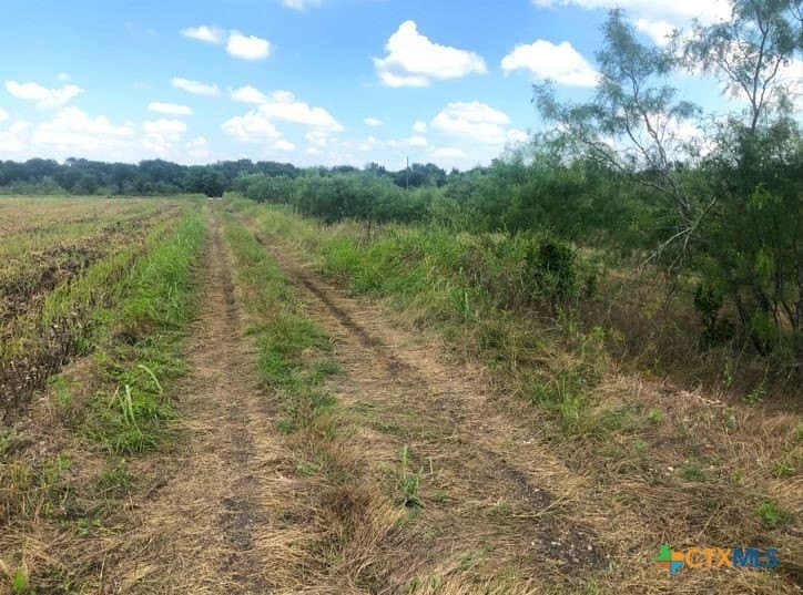79.95 acres in Williamson County - photo 14