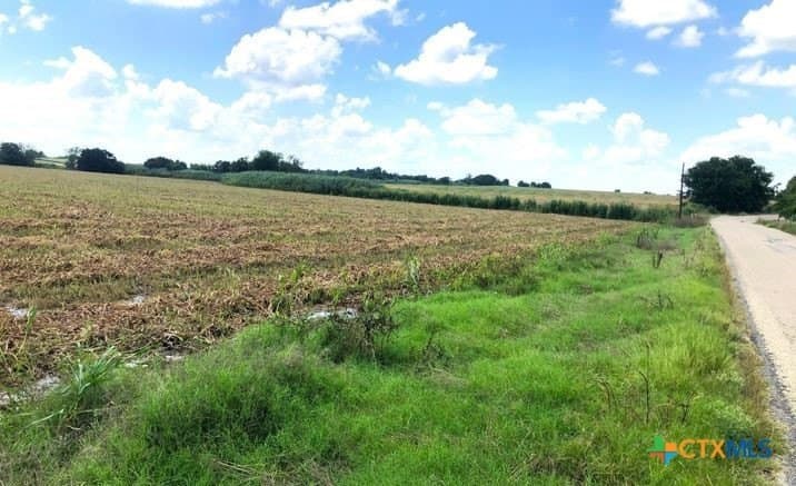 79.95 acres in Williamson County - photo 6