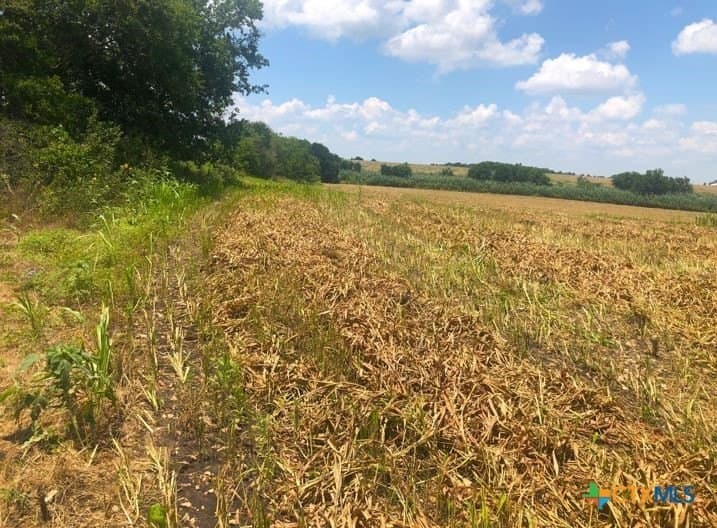 79.95 acres in Williamson County - photo 17