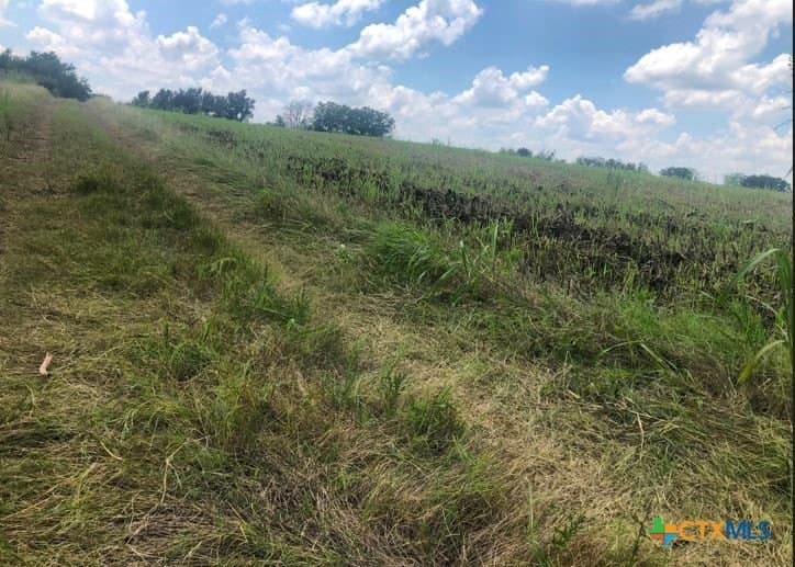 79.95 acres in Williamson County - photo 13