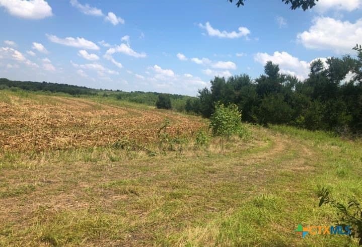 79.95 acres in Williamson County - photo 20