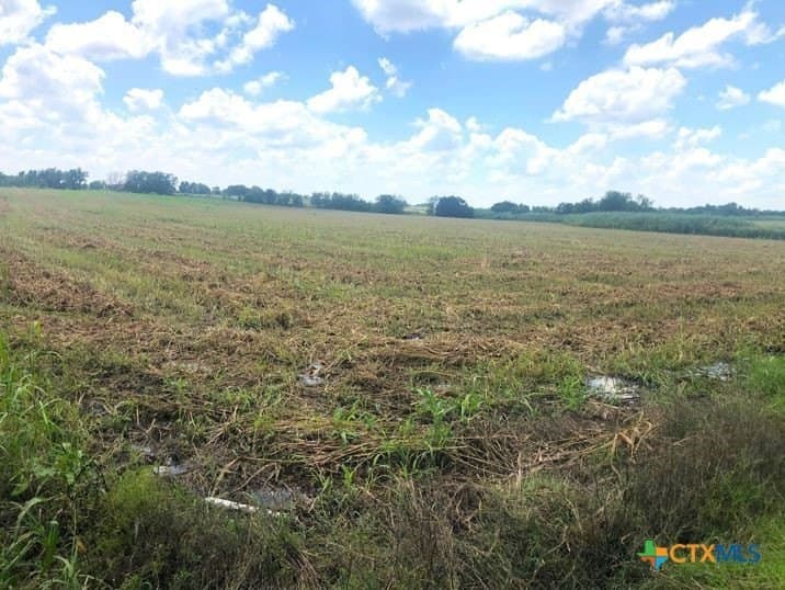 79.95 acres in Williamson County - photo 9
