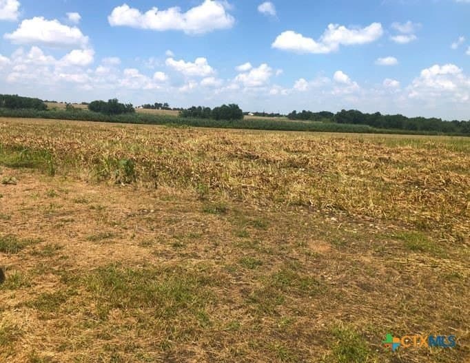 79.95 acres in Williamson County - photo 18